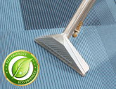 Green Carpet Cleaners